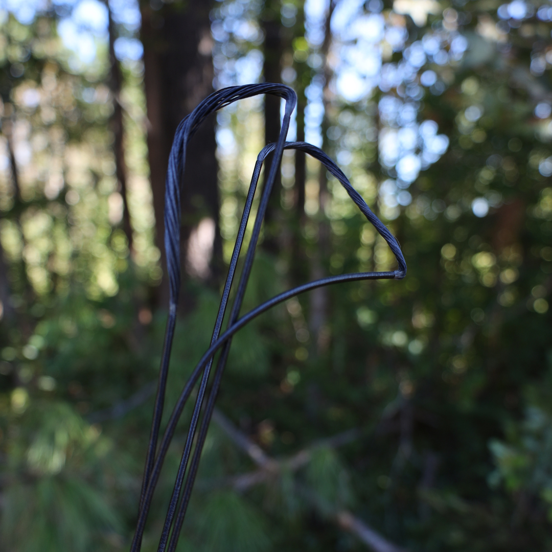 Mathews Vertix Bowstring